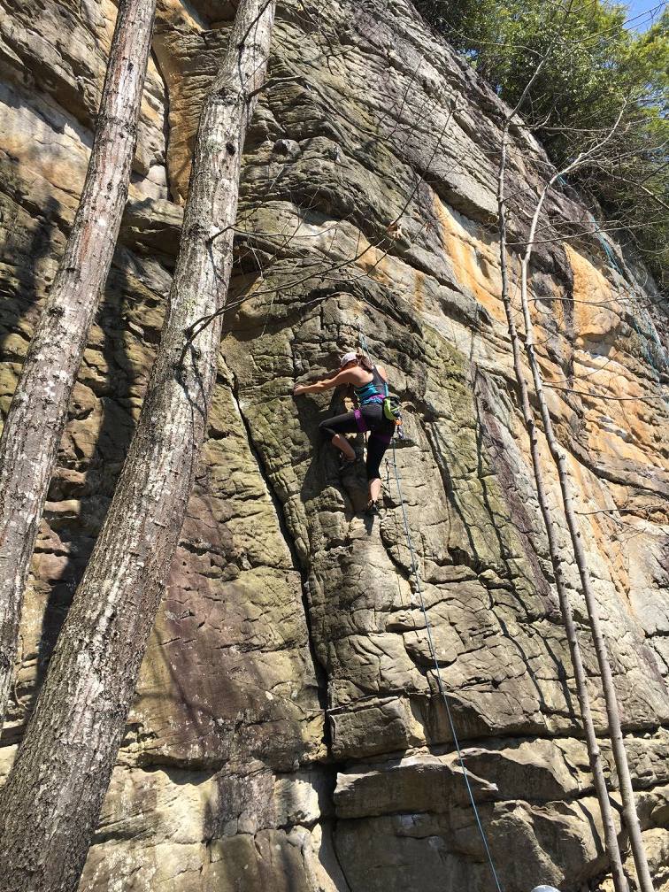 The New River Gorge